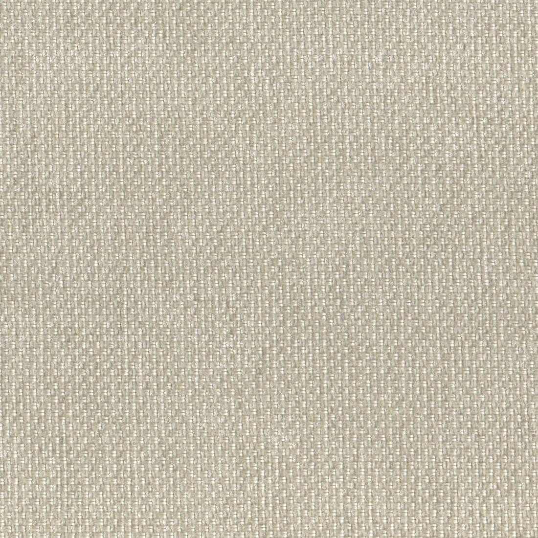 Prodigy Beige